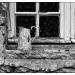 20120611165005_le_bro_a_eau 20120611165005_le_bro_a_eau