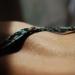 20120628135628_a_fleur_de_peau 20120628135628_a_fleur_de_peau