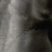20120628113533_detvay_juci2_50x45 20120628113533_detvay_juci2_50x45