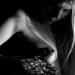 20120802155017_duni_8 20120802155017_duni_8