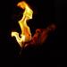 20120822130821_baiser_de_feu 20120822130821_baiser_de_feu