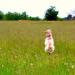 20120829135620_dsc_0867 20120829135620_dsc_0867