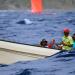 20120827172131__mg18145 20120827172131__mg18145