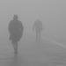 20120830192554_venise_mysterieuse__2_ 20120830192554_venise_mysterieuse__2_