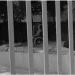 20120901094704_l_amour_na_pas_de_barriere 20120901094704_l_amour_na_pas_de_barriere