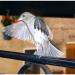 20120905175227_2009_07_26_18_40_08 20120905175227_2009_07_26_18_40_08