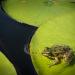 20120904210307_l_instant_decisif 20120904210307_l_instant_decisif