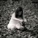 20120905102153_equilibre_rouckout 20120905102153_equilibre_rouckout