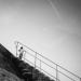 20120904225927_la_jeune_fille_et_la_mouette 20120904225927_la_jeune_fille_et_la_mouette