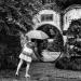 20120906223915_20120720_171405_suzhou_jardin_politique_des_simples_modifier 20120906223915_20120720_171405_suzhou_jardin_politique_des_simples_modifier