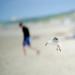 20120908004916__yca8355 20120908004916__yca8355