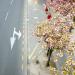 20120911165321_chaperons_rouges___copie 20120911165321_chaperons_rouges___copie