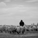 20120914211801_l_homme_en_minorite 20120914211801_l_homme_en_minorite