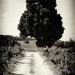 20120914170137_le_chemin 20120914170137_le_chemin