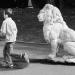 20120916104329_le_protecteur_romo 20120916104329_le_protecteur_romo