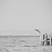 20120928185034__pic5566 20120928185034__pic5566