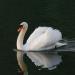 20121001172152_dsc_0084 20121001172152_dsc_0084