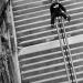 20121001224940_la_joie 20121001224940_la_joie