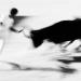 20121002130612_acte5 20121002130612_acte5