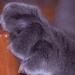 20121004093959_191111_499070606787217_623349156_o 20121004093959_191111_499070606787217_623349156_o