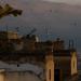 20121004094532_la_dame_au_soleil_levant 20121004094532_la_dame_au_soleil_levant
