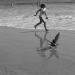 20121004124037_kamel_moussa 20121004124037_kamel_moussa