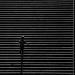 20121004012529_marches_a_l_ombre_ 20121004012529_marches_a_l_ombre_