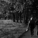 20130418082312_ballain_4 20130418082312_ballain_4