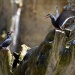 20130429102723_discution_de_couple 20130429102723_discution_de_couple