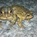 20130504172822_image