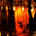 20130518152254__dsc0364 20130518152254__dsc0364