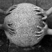20130520104256_faconner_une_vie_commune 20130520104256_faconner_une_vie_commune