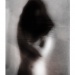 20151012165857_lost13 20151012165857_lost13