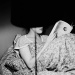 20151012103818_fm_29_tmax_800_28_hd 20151012103818_fm_29_tmax_800_28_hd