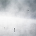 Evanescent - Gilles Deprez Evanescent - Gilles Deprez