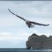 Etretat - Bruno Rybak Etretat - Bruno Rybak