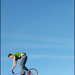 Air bike - Thomas Sanchez Air bike - Thomas Sanchez