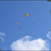 Dans les airs du Champsaur - Christiane Seguin Dans les airs du Champsaur - Christiane Seguin