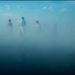 Bleu du ciel - Elaine Vallet Bleu du ciel - Elaine Vallet