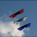Patrouille tricolore - Nina Lecomte Patrouille tricolore - Nina Lecomte
