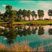 Golf Reflection - Arnaud Bertrande