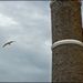 Autour du phare - Michel Redondo Autour du phare - Michel Redondo