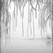 Air Glacial - Vanessa Bureau Air Glacial - Vanessa Bureau