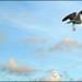 Slalom among clouds - Adela Nistora Slalom among clouds - Adela Nistora