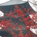 20161002181536_pagode_du_templevto_ji___kyoto 20161002181536_pagode_du_templevto_ji___kyoto