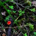20161003152508_dsc_1231_copie