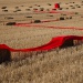 20161024174701_michel_alain_louys_lignes_rouges 20161024174701_michel_alain_louys_lignes_rouges