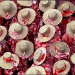 20161024230531_rouge_chapeaux 20161024230531_rouge_chapeaux