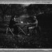 Autumn Gamblin' - Nicolas Blandin Autumn Gamblin' - Nicolas Blandin
