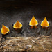 Quatuor de cuivres